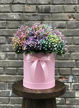 Цветочная композиция из Гипсофила и Розы в шляпной коробке #REPLACE_PRED# Гойты