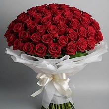 Букет 101 Красная роза Блэк Мэджик в Гойты