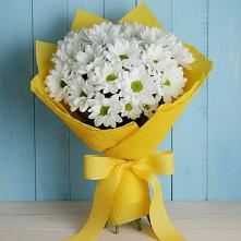 Букет цветов из:  Хризантемы в Гойты