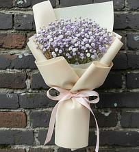 Букет цветов из:  Гипсофила в Гойты