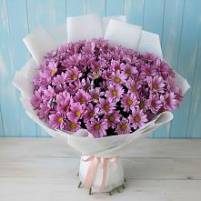 Букет цветов из:  Хризантемы в Гойты