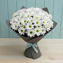Букет цветов из:  Хризантемы в Гойты