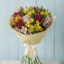 Букет цветов из:  Альстромерии в Гойты
