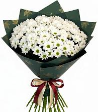 Букет цветов из:  Хризантемы в Гойты