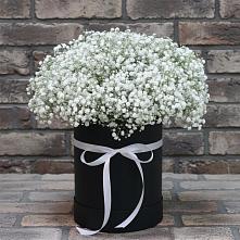 Цветочная композиция из Гипсофила в шляпной коробке в Гойты