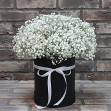 Цветочная композиция из Гипсофила в шляпной коробке в Гойты