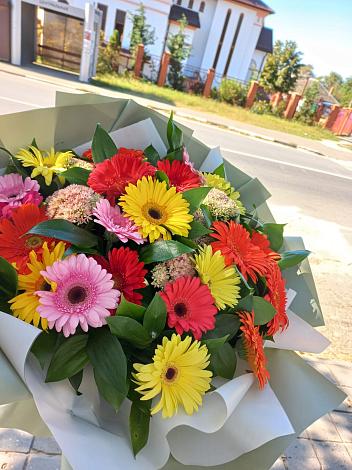 Букет цветов из: Герберы в Гойты