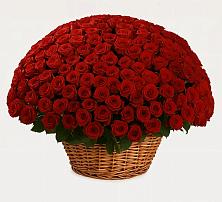 Премиум букет из: Розы в Гойты