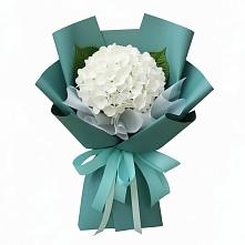 Букет цветов из:  Гортензия в Гойты